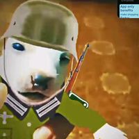 mr.d_a_16
