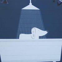downtowndogs_dogsdayout