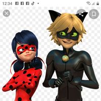 ladybug_cat37