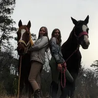 original sound - horses.girl02