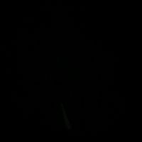 dias_sad1998