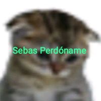 sebas.perdon.que.sufro