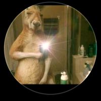 user711718940