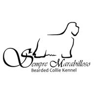 sempremarabillosofci