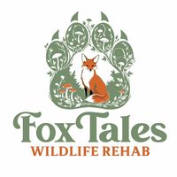 foxtales_wildliferehab