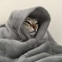 original sound - sn_bokunoheroacademia_