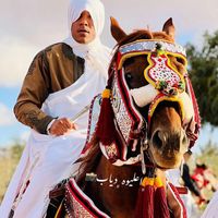 alimohameed54
