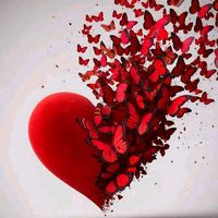 loyol_70826