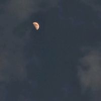 suara asli - inirisna