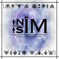 nimsim2410