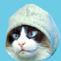 olliethegoodkitty