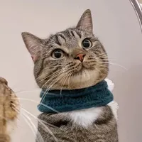 original sound - ahhhhhhhhhhhhh490