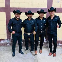 original sound - wwalacranes