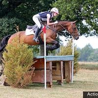 my.13hh.gelding