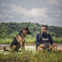 warongkorn1
