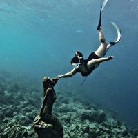 alaine_bake.dive.travel
