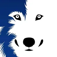 original sound - wolfstation.yt