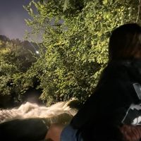 pretty brown brown .