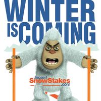 discountsnowstakes