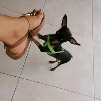 original sound - yasmin.musica