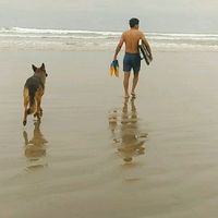 jefferparrales