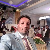 sisaydemoz