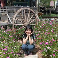 my_nanny_ud