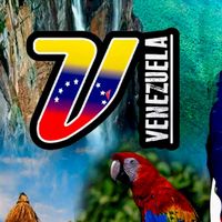 venezuelaysusvainas2