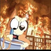 bingo_heleer_catemoji