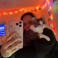 thor.the.kitten28
