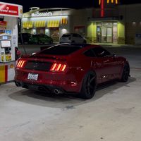 5.0yan