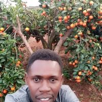 vision_2030_farm