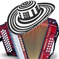 original sound - vallenato1213