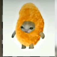 la_nada_te_lo_explica