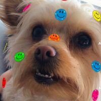 daisy_agility