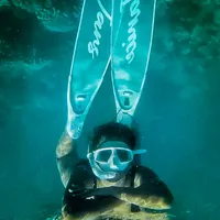 original sound - janicefreediver