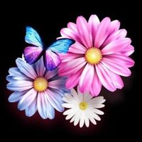 be.fatmah