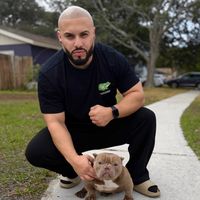 xcentricbullyz