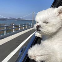 original sound - ria :P