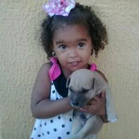 albimar.loaiza