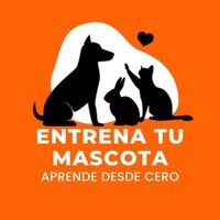 entrenatumascota