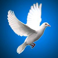 suara asli - Bulir Padi