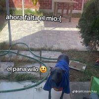 edwin3984salinas7