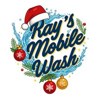 raysmobilewash