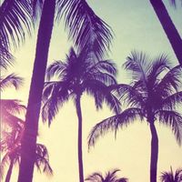 sarahii._floresss