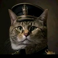 cat.algerien24