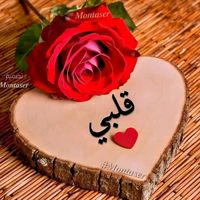 yajelil1