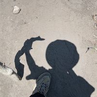 suara asli - Raka_dc