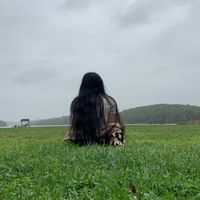 anastrada3