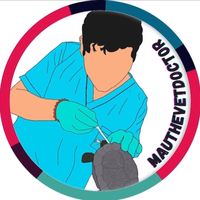 mauthevetdoctor